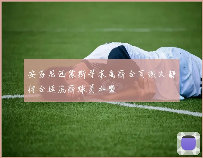安芬尼西蒙斯寻求高薪合同热火静待合适底薪球员加盟