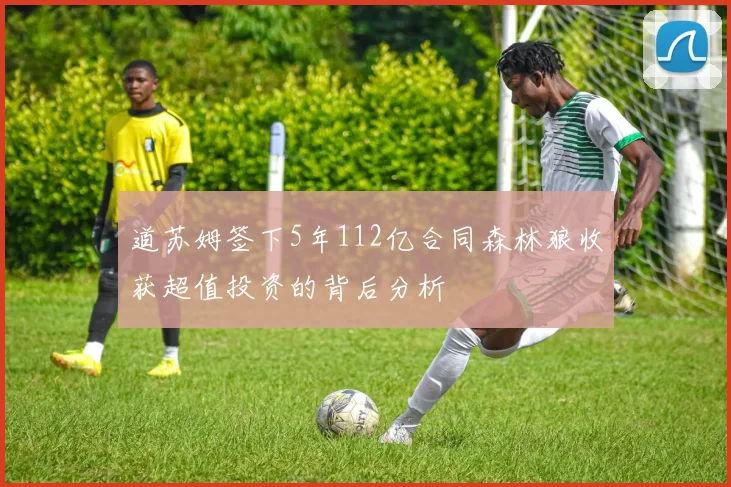道苏姆签下5年112亿合同森林狼收获超值投资的背后分析